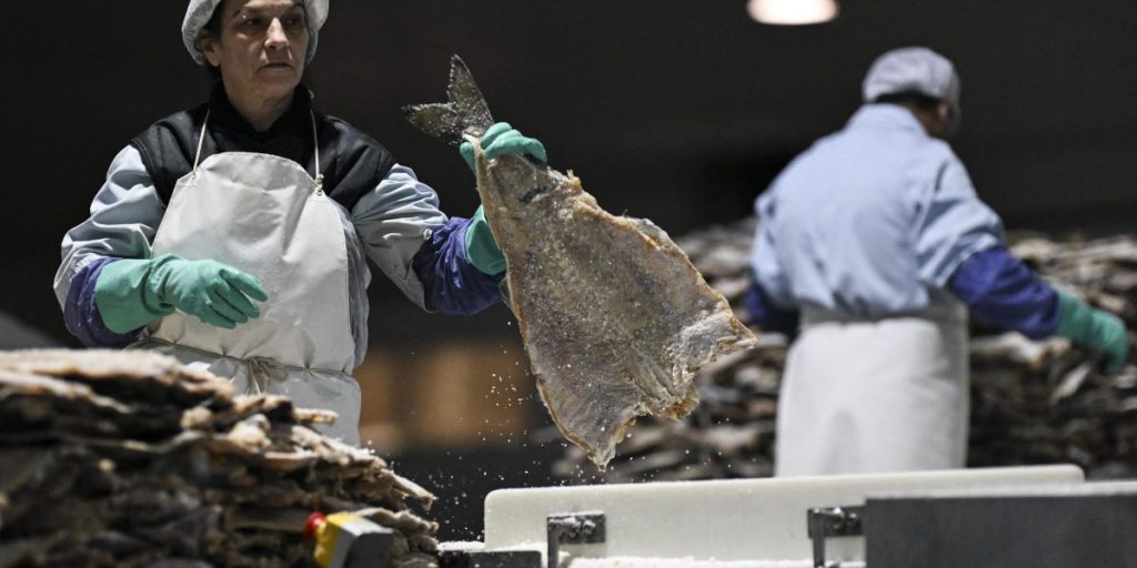 Lupakan kalkun, supermarket di Portugal dipenuhi ikan cod asin menjelang musim liburan