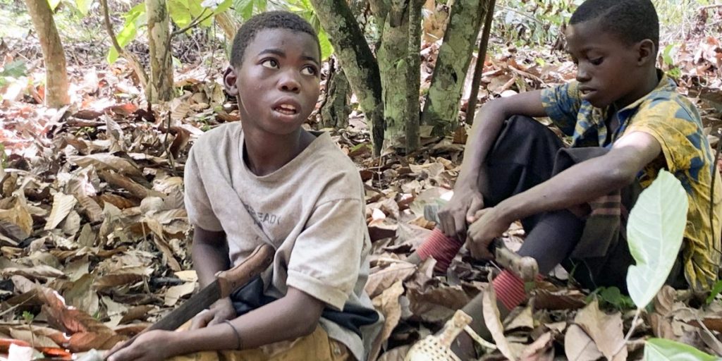 Cokelat favorit Anda mungkin diproduksi oleh pekerja anak di Afrika Barat dan pemerintah tidak peduli, bantah para pendukung dalam tuntutan hukum