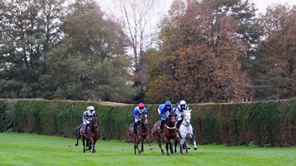 Hari ini di Sky Sports Racing: Plumpton, Hereford dan Wolverhampton menjadi tuan rumah balapan langsung | Berita Balapan