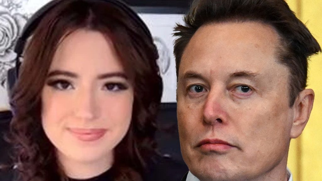 Komentator berita Fox Ashley St. Clair mengklaim dia memiliki anak dengan Elon Musk