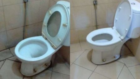 5 Cara Cepathkan Toilet Toilet Agar Tampak Kinclong Dan Bebas Kuman