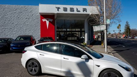 Apa ‘mode penjaga Tesla, dan bagaimana mengaktifkannya