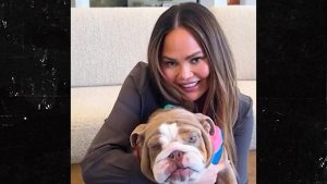 Chrissy Teigen dan John Legend Rescue Dog Berbulan -bulan Setelah Anjing Mereka Meninggal