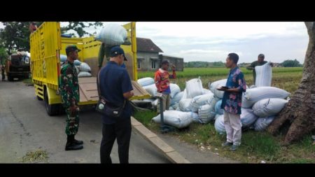 Hadapi Puncak Panen, Bulog Kediri Realisasikan Penyerapan Gabah & Beras Petani Terbesar Di Jatim