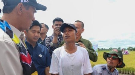 Mentan Amran Kecewa Penyerapan Gabah Petani Rendah, Pimpinan Bulog Kalsel Dicopot