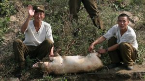 Tak Cuma Pulung Puntung Rokok Di Jalan, Tentara Korut Jaga Dilanda Kelaparan